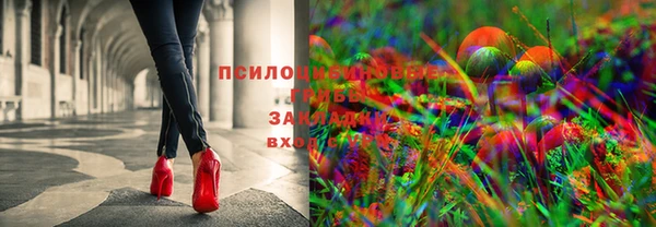 мяу мяу мука Нефтекумск