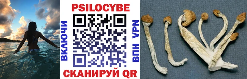 наркотики  Еманжелинск  МЕГА вход  Псилоцибиновые грибы мухоморы 